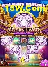 Promoções Sazonais dj5